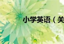 小学英语（关于小学英语介绍）