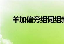 羊加偏旁组词组新字（羊加偏旁组词）