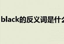 black的反义词是什么单词（black的反义词）