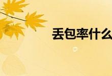 丢包率什么意思（丢包率）