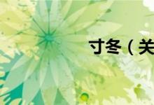 寸冬（关于寸冬介绍）