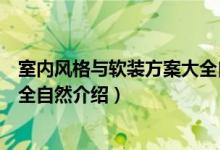 室内风格与软装方案大全自然（关于室内风格与软装方案大全自然介绍）