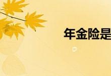 年金险是什么（年金）