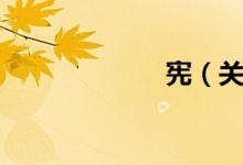 宪（关于宪介绍）