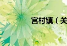 宫村镇（关于宫村镇介绍）