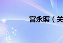 宫永照（关于宫永照介绍）