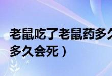 老鼠吃了老鼠药多久会死亡（老鼠吃了老鼠药多久会死）