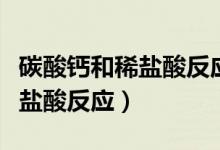 碳酸钙和稀盐酸反应的实验视频（碳酸钙和稀盐酸反应）