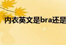 内衣英文是bra还是bar（内衣英文怎么说）