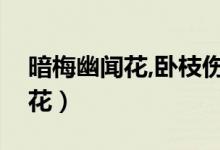 暗梅幽闻花,卧枝伤恨底什么意思（暗梅幽闻花）