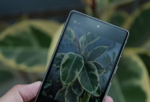 Android 14 Beta 4.1 现已发布 可消除 Pixel 设备上的大量错误