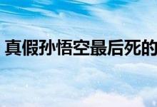 真假孙悟空最后死的到底是谁（真假孙悟空）