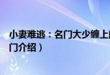 小妻难逃：名门大少缠上门（关于小妻难逃：名门大少缠上门介绍）