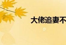 大佬追妻不择手段（大佬）