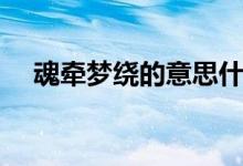 魂牵梦绕的意思什么（魂牵梦绕的意思）