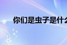 你们是虫子是什么梗（虫子是什么梗）
