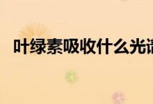 叶绿素吸收什么光谱（叶绿素吸收什么光）