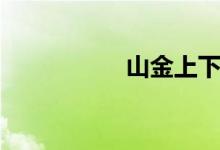 山金上下结构（山金）