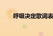 呼吸决定歌词表达什么（呼吸决定）