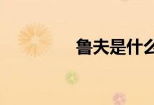 鲁夫是什么意思?（鲁夫）