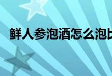 鲜人参泡酒怎么泡比例（鲜人参怎么泡酒）