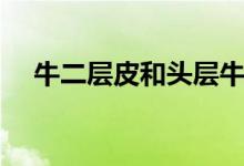 牛二层皮和头层牛皮哪个好（牛二层皮）
