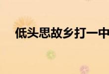 低头思故乡打一中草药名（低头思故乡）