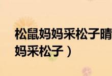 松鼠妈妈采松子晴天每天可采20颗（松鼠妈妈采松子）