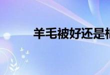 羊毛被好还是棉花被好（羊毛被）