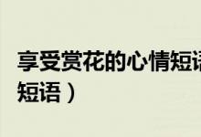 享受赏花的心情短语郁金香（享受赏花的心情短语）