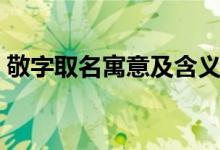 敬字取名寓意及含义（璟字取名寓意及含义）