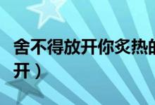 舍不得放开你炙热的双手是什么歌（舍不得放开）