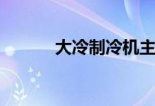 大冷制冷机主轴承（大冷制冷）