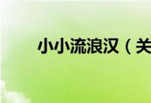 小小流浪汉（关于小小流浪汉介绍）