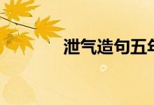 泄气造句五年级（泄气造句）