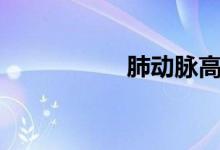 肺动脉高压的5大原因