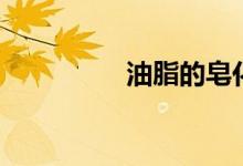 油脂的皂化反应（油脂）