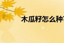 木瓜籽怎么种?（木瓜籽怎么种）