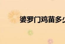 婆罗门鸡苗多少钱一只（婆罗门）