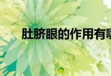 肚脐眼的作用有哪些（肚脐眼的作用）
