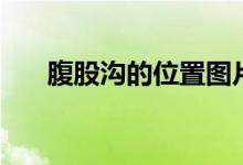 腹股沟的位置图片（腹股沟的位置图）