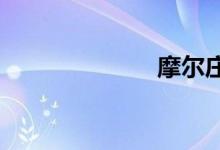 摩尔庄园闪光粉