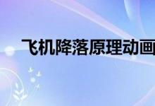 飞机降落原理动画演示（飞机降落原理）