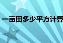 一亩田多少平方计算方式（一亩田多少平方）