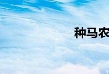 种马农场（种马）