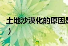 土地沙漠化的原因是什么（土地沙漠化的原因）