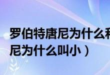 罗伯特唐尼为什么和父亲名字一样（罗伯特唐尼为什么叫小）