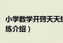 小学数学开窍天天练（关于小学数学开窍天天练介绍）