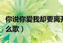 你说你爱我却要离开我（你说你爱我爱我是什么歌）
