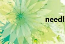 needle（need）